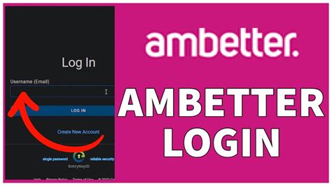 lv amber|ambetter provider login.